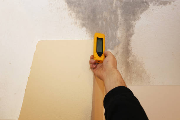 Best Asbestos and Lead Testing During Mold Inspection  in Bakersfield Country Clu, CA