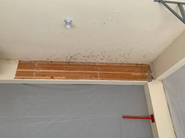  Bakersfield Country Clu, CA Mold Removal Pros