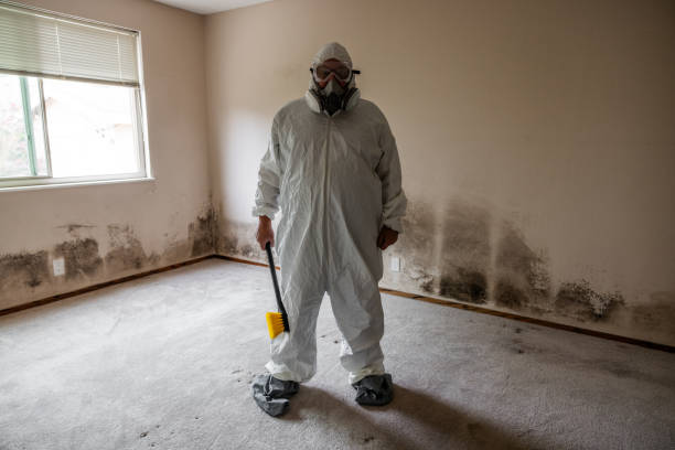 Trusted Bakersfield Country Clu, CA Mold Removal Experts